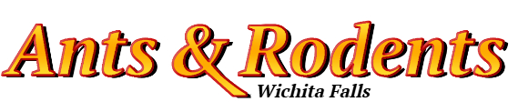 Wichita Falls Ant Exterminator & Rodent Control Company Logo